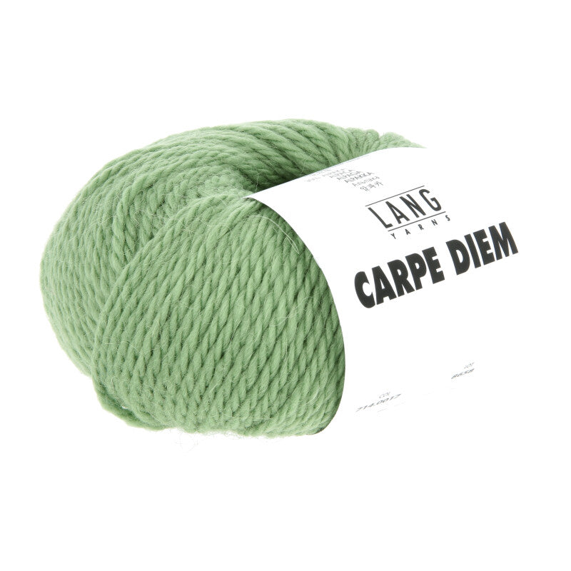 Lang Yarns Carpe Diem – 50g / 90m – Green (0017)