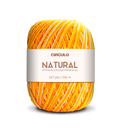 Círculo Barroco Multicolor Premium 4/6 – Fio de algodão brasileiro (226m / 200g)